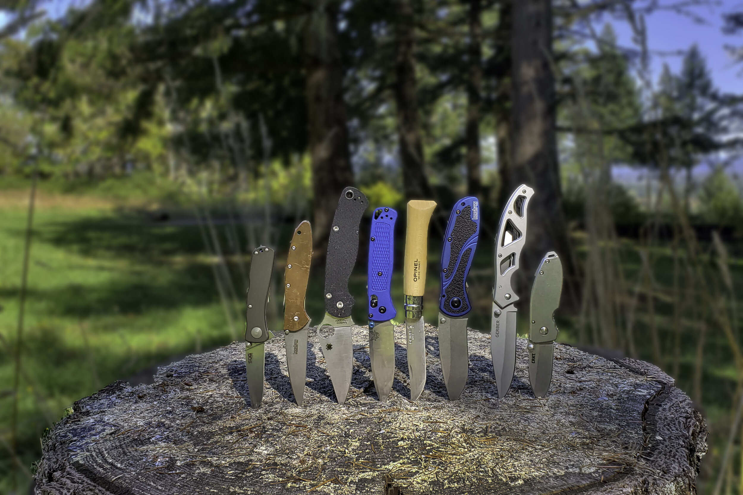 eight pocket knives stabbed in a block of wood on a sunny day
