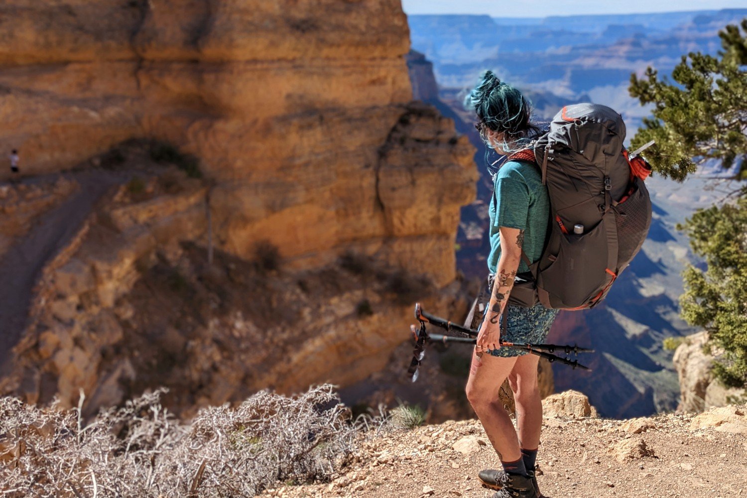 woman overlooking the grand canyon holding her trekking poles