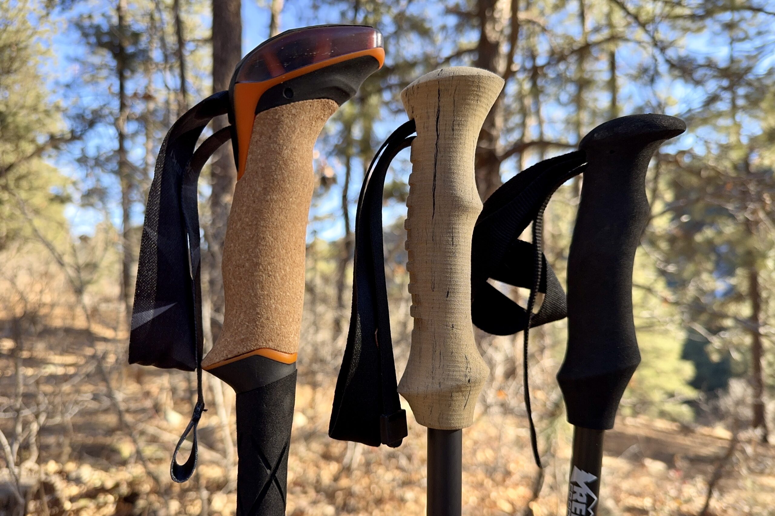 The grips of three trekking poles are shown next to each other with a forest in the background.
