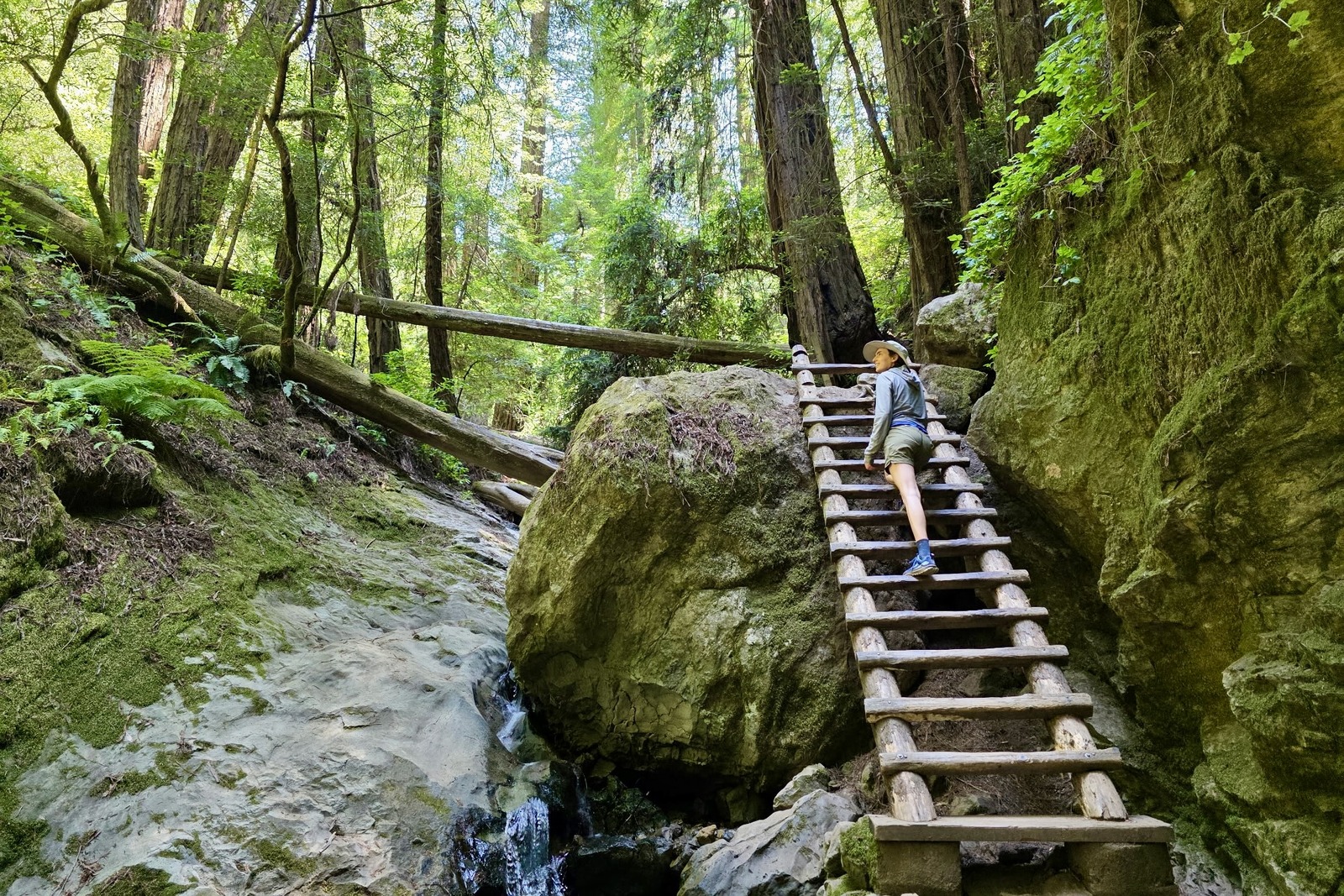 A woman stands on a tall ladder that is part of the trail in her hike.