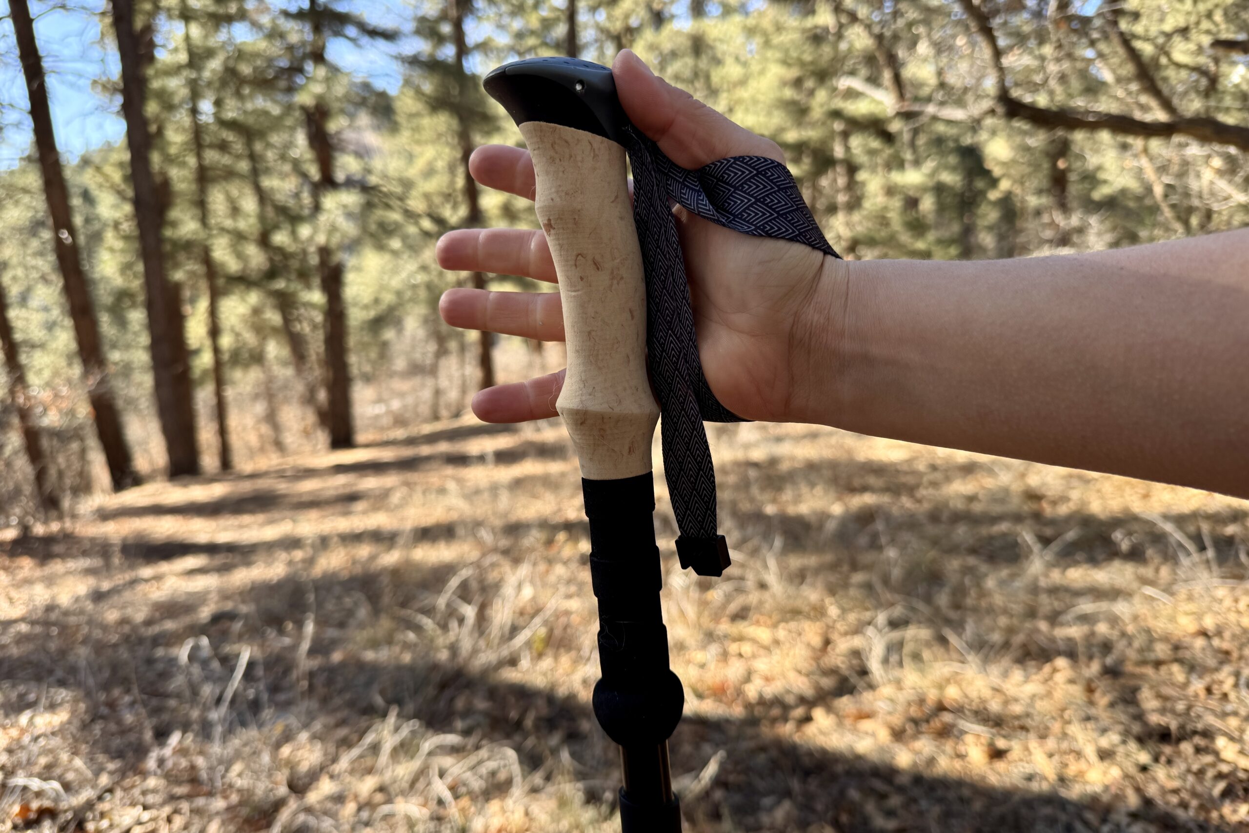 A close up of a hand holding the foam grip of the Trekology Trek-Z 2.0 pole with a forest in the background.