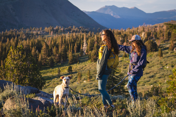 Two women hiking, featuring hiking leggings of two different styles and patterns, one plain blue, and another also blue but camouflage like. Also a small dog, yellow fur. Both women are wearing day packs and rain jackets. The background is green plants and trees. The women are looking out at the view.