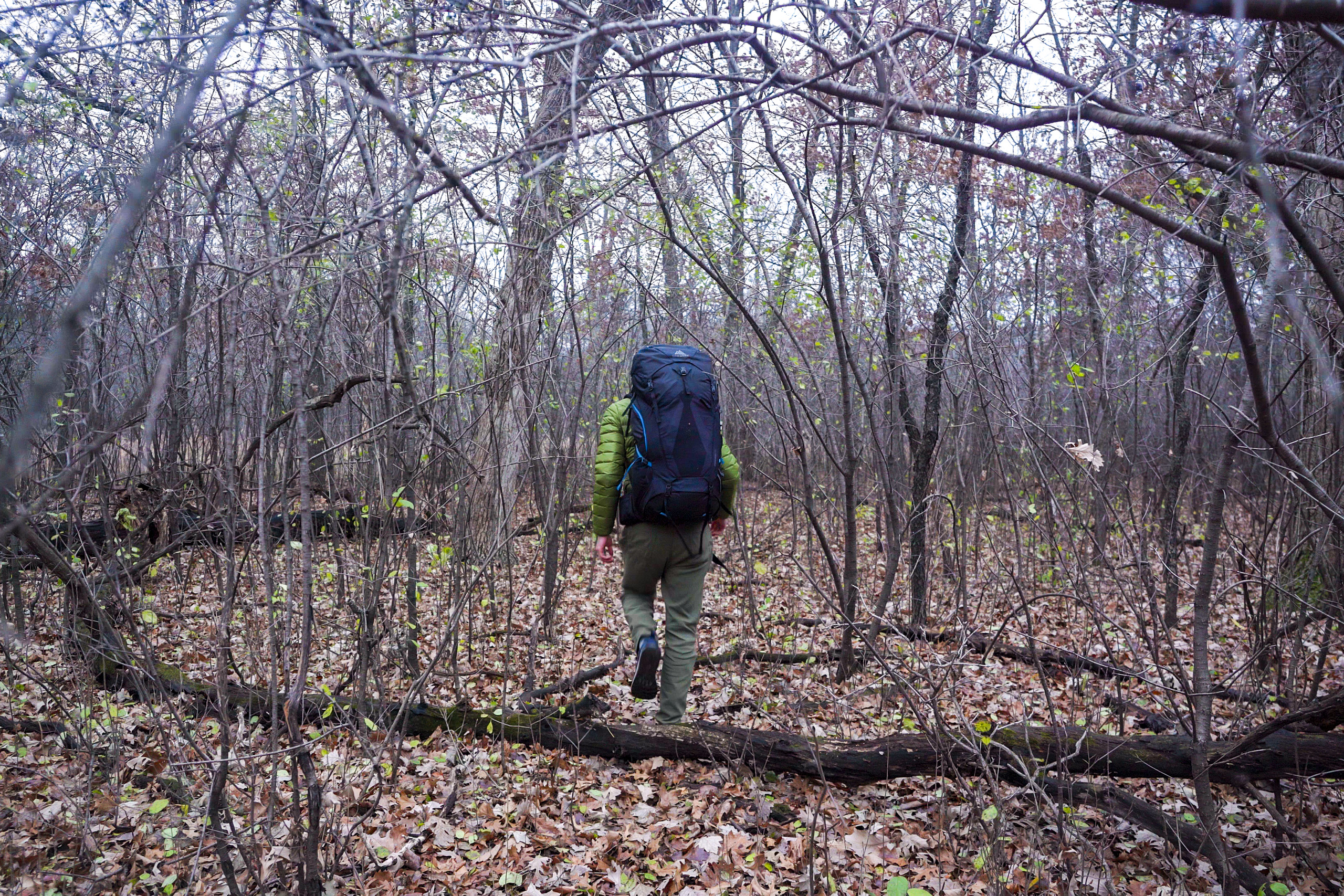 a man in a green coat walks through a forest wearing a black backpack