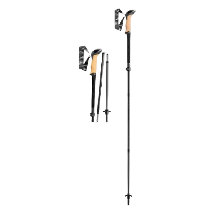 LEKI black series FX Carbon trekking pole